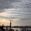 뚝섬한강공원-58 | 머니투데이 3.1절 하프마라톤 대회 후기