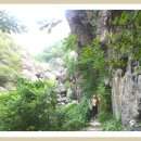 밀양 구만산(九萬山:785m)을 다녀왔어요. 이미지