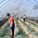 대소면행정복지센터 이미지