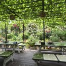 배롱나무집 이미지