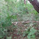 송정주차장 이미지