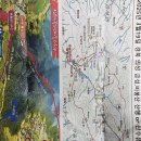 산수유축제장 이미지