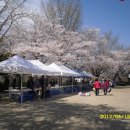 남면초등학교 이미지