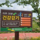 선행천 이미지
