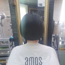 살롱드 에반 | 수원붙임머리 추천
