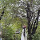 귀곡 | [가평] 닭볶음 맛집 추천 '귀곡산장' 후기