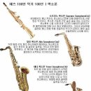 로터스색소폰 - 관악구 남부순환로 1907 | 로터스색소폰