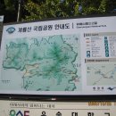 갑사에서 동학사로 (계룡산국립공원) 2008. 10. 25 이미지