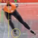 (971)Cross In&amp;Out 이미지