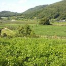 아멘농장 이미지