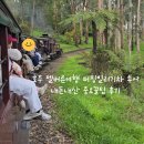 BILLY GYM(빌리짐) | 호주 멜버른여행 퍼핑빌리기차 투어 내돈내산 중요꿀팁 후기