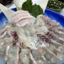 청해 회 수산 이미지