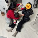 미인본가구미점 | [공지] [2026] 01月. 둥근 해가 떴습니다