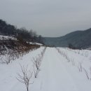 팜파니아농장