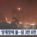 불나닭 이미지