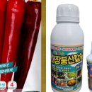 한국농약씨앗 이미지