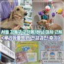 루리동물병원 | 서울 강동구 고덕동 루리동물병원, 상일동역 강아지 건강검진 후기