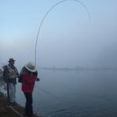 진우낚시터 이미지