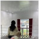 딩동댕애견스파풀빌라 이미지