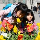 꽃향기 - 양천구 등촌로 30 | 꽃향기