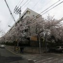 수원-0221 이미지