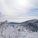 설천면126 Daum카페