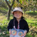 비룡농장 이미지