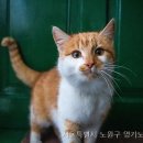 영기노인요양원 이미지