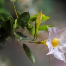 인흥리 | 인흥리 풀빌라 고성풀하우스풀빌라 꼭 가봐야 하는 곳