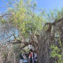 조슈아농장 이미지