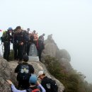 마평관광농원 | 괘관산(1252m) /경남 함양