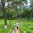 협동조합산림문화연구소