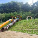 한방생태숲 이미지