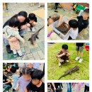 꿈초롱빛초롱어린이집 이미지