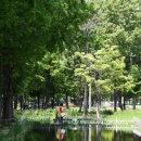 대아 부대찌개 이미지