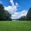 그린 힐 이미지