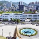 정식청과