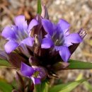 용담초교 이미지