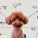 털로덮인친구들 수원시청역점 이미지