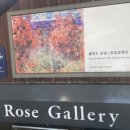 장미공원길 이미지