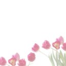 산토끼옹달샘 이미지