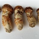 이포고등학교 이미지