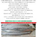 11월 3일 꺽다리네 판매생선은.... [[ 냉동보관중인 먹갈치 ]] 추가.. 아까무스 3상자 이미지