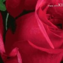 행복가득 이미지