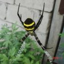 선인농장 이미지