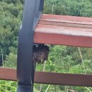 가거도초등학교 이미지