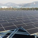 SMP 0원이 보내는 경고 재생에너지 카니발라이제이션 우려 기사 이미지