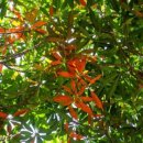 선반내주유소 이미지