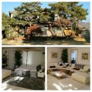 팜트리펜션 | 양평 독채펜션 '양평 단체 펜션' 팜트리아트 후기