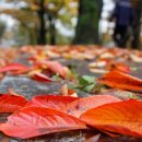 우암산순환로 이미지